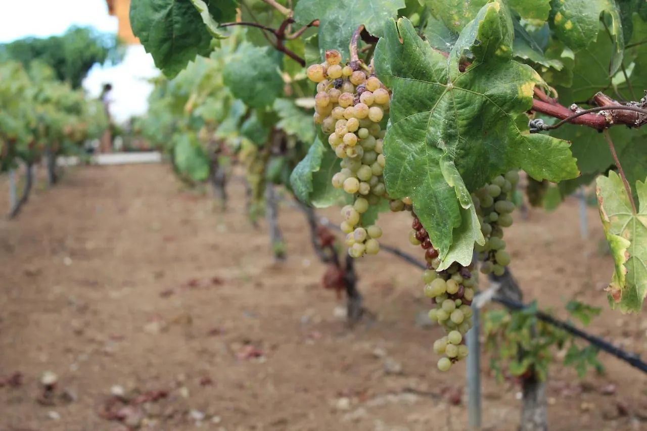 Сasa de vacaciones Chalet Las Viñas Icod De Los Vinos