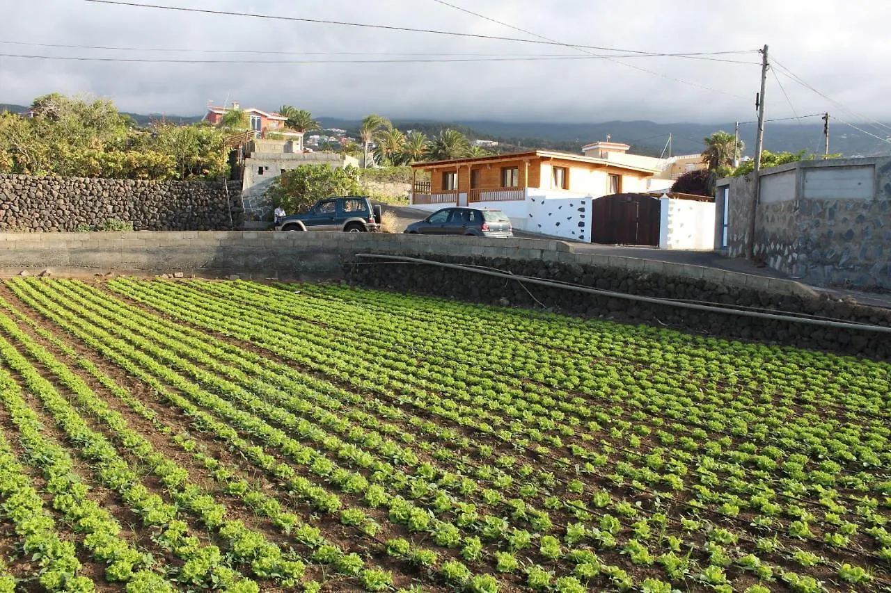 Сasa de vacaciones Chalet Las Viñas Icod De Los Vinos España